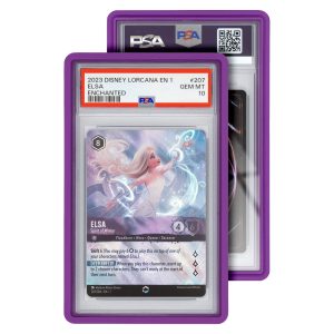 Graded Guard Standard Case - Purple