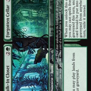 Walk-In Closet // Forgotten Cellar - Duskmourn: House of Horror #205  - Near Mint