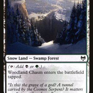 Woodland Chasm - Kaldheim #274  - Near Mint